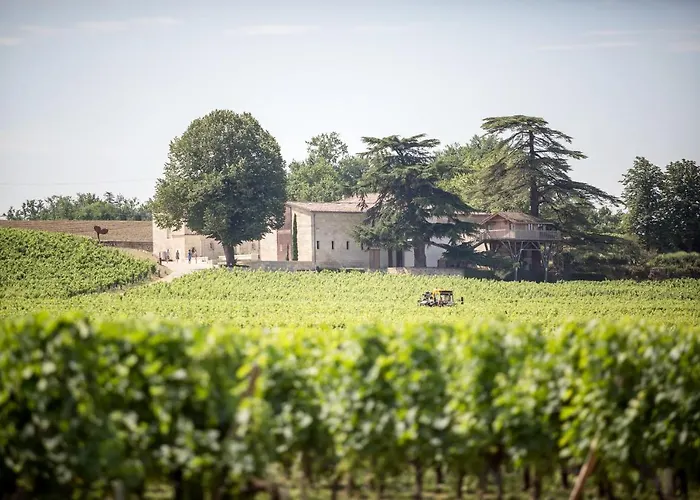 Le Relais de Franc Mayne Saint Emilion