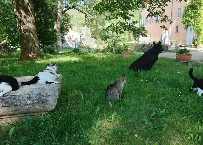 Chateau De La Cazette Sisteron