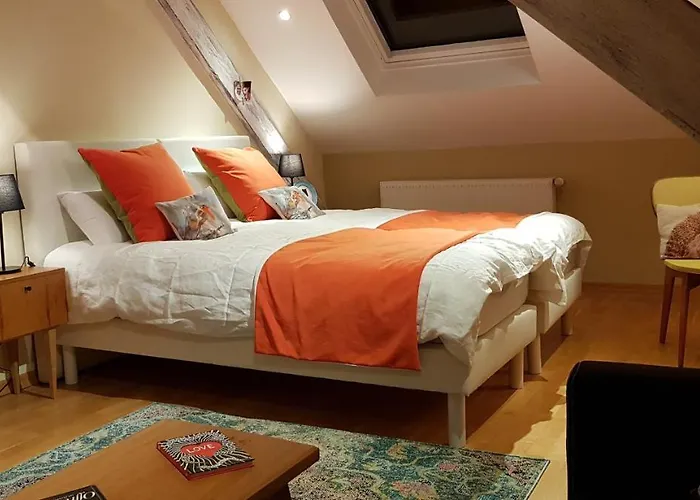 La Chouette Maison - Chambres D'Hotes Et Gite En Ville Remiremont