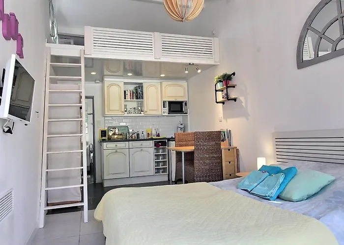 Le Petit Paradis - La Provençale Lorgues