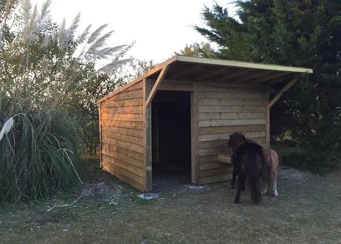 La Belle Etoile Chambres D'Hotes Saint-Jean-de-Monts