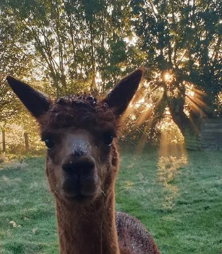 Aux murmures de la nature