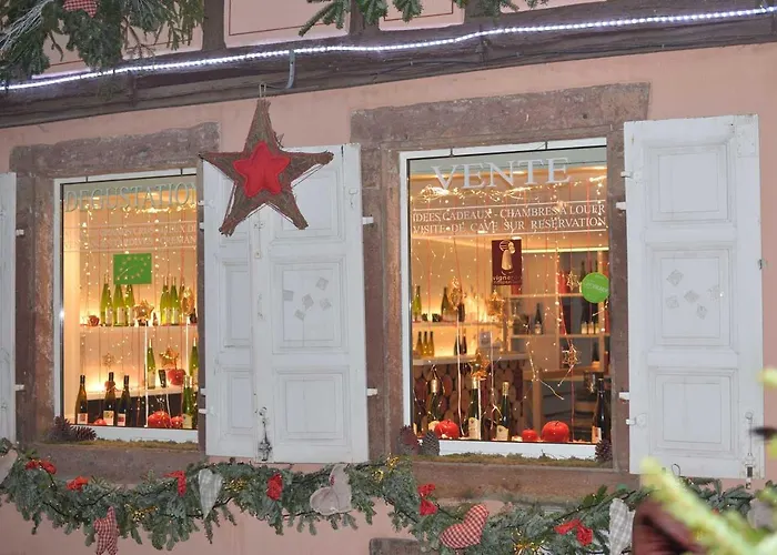 CHEZ MYRIAM Bed&Breakfast chez le VIGNERON Colmar