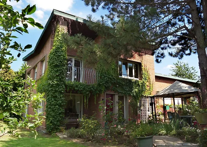 La Maison D'Adam Lille