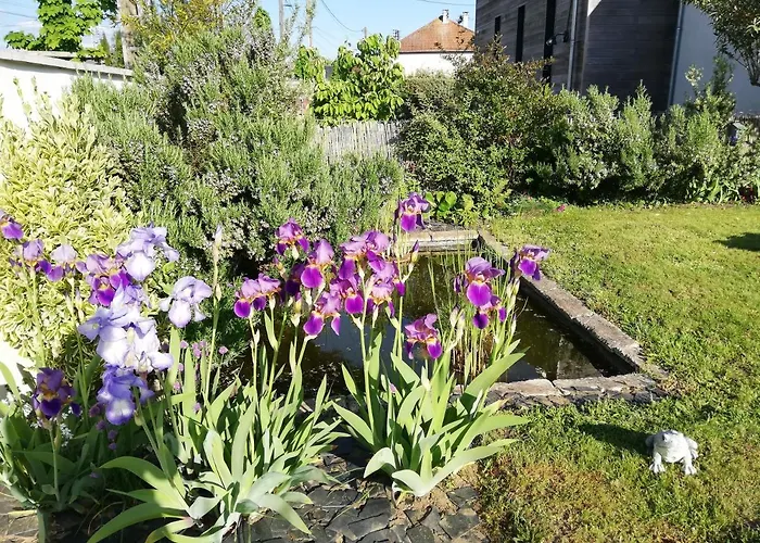 Au Vert A Olivet