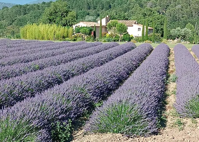 Chambre d'hôtes du Mas de Longuefeuille Malaucène