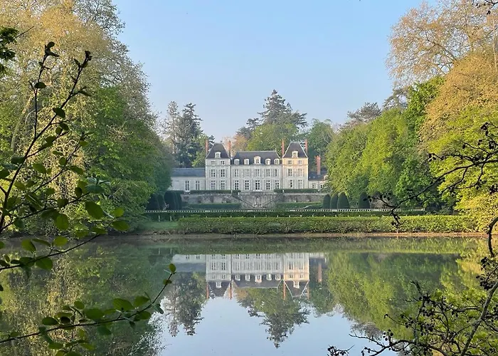 Château du Rondon Olivet 