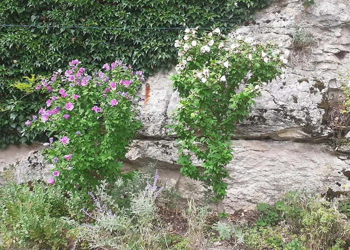 Gite des Belles Fontaines Druyes-les-Belles-Fontaines