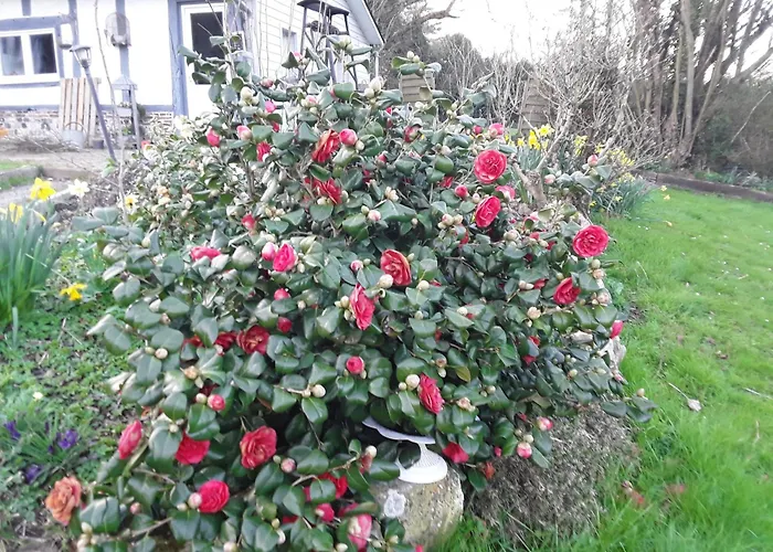 Bed and Breakfast Un week-end à la campagne à Pont-Audemer