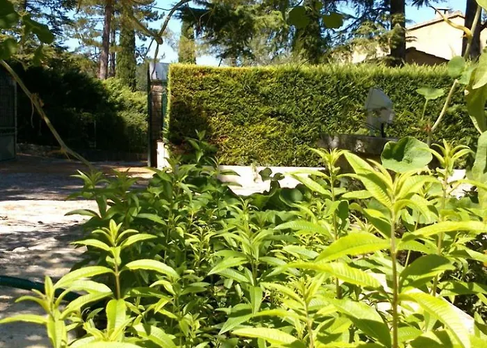 Les Verveines de Vaison