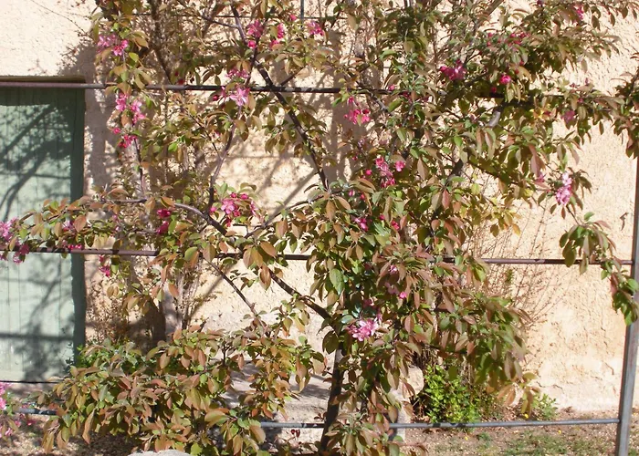 Mas la Vitalis Chambres D'Hôtes LʼIsle-sur-la-Sorgue