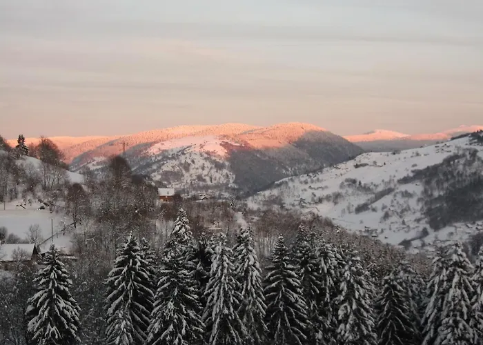 Bed and Breakfast La Ferme du Vieux Sapin à La Bresse