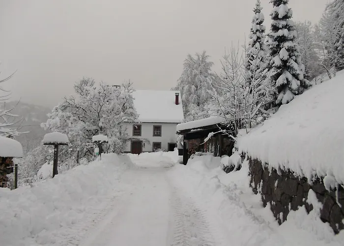Bed and Breakfast La Ferme du Vieux Sapin à La Bresse
