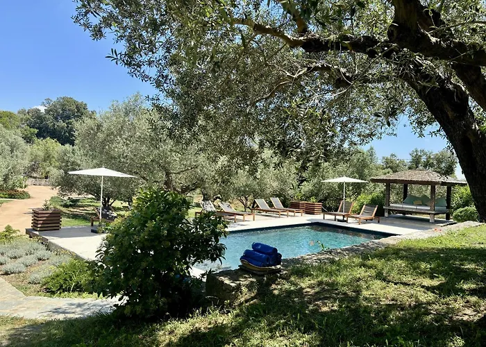 Chambre d'hôteNature & Design