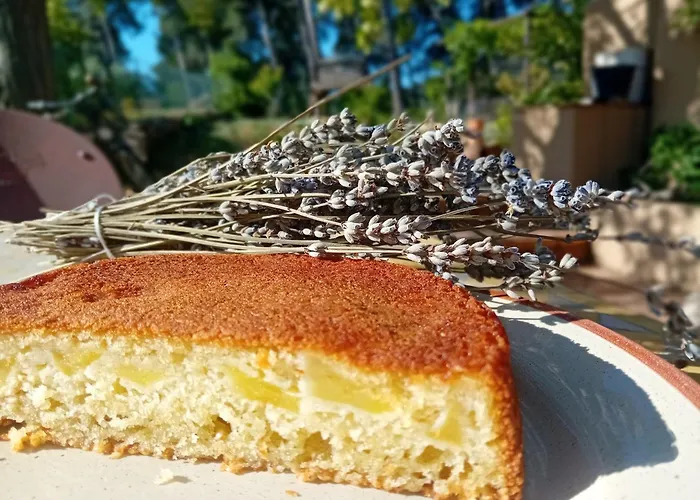 Les Pieds Tanqués - Bed&Breakfast-Spa Saint-Cyr-sur-Mer