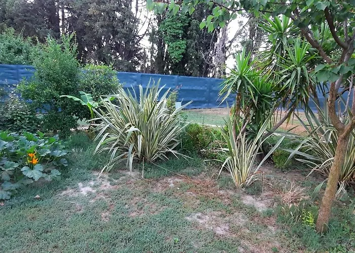Bed and Breakfast Mas à Beaucaire 
