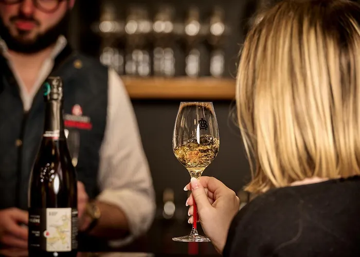 Chambre d'hôteChampagne André Bergère