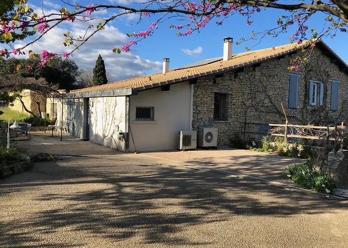 Le Mas Des Oliviers Nimes