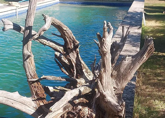 Bergerie d'Alivon en Camargue