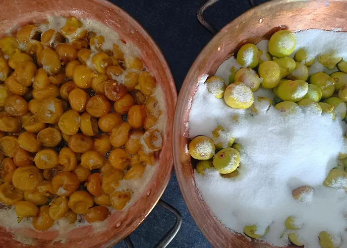 Chambre d'hôteCampagne De La Source St Martin