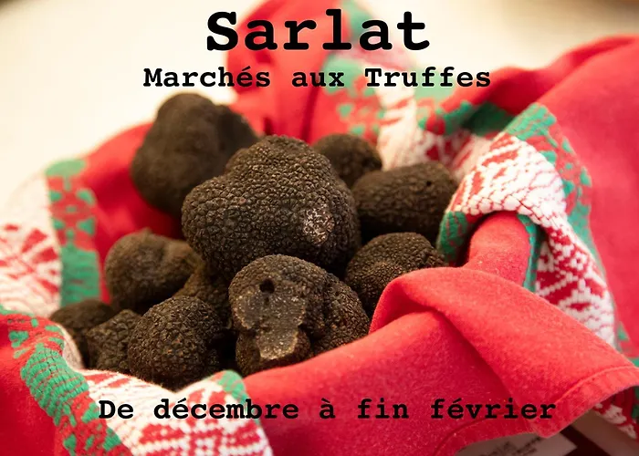 Bed and Breakfast O'Myosotis - 400m Centre Historique - Parking Gratuit - Piscine et Jardin à Sarlat