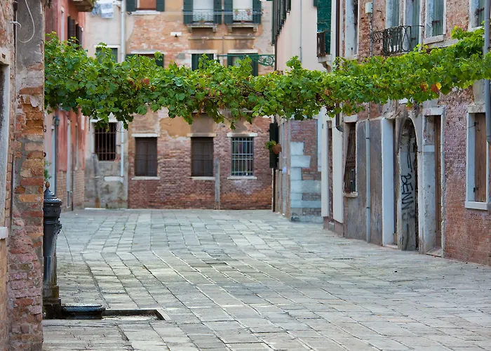 Alla Vite Dorata Venise