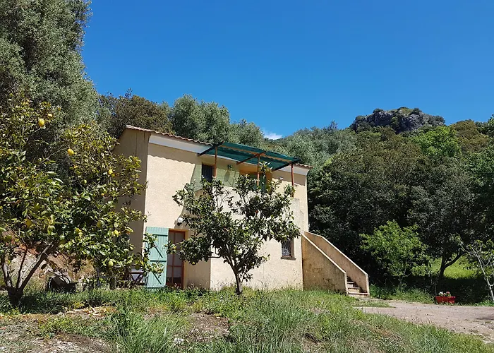 Bed and Breakfast A Casa Di L'Alivu à Patrimonio
