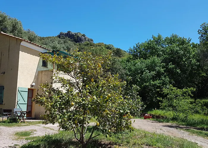 Bed and Breakfast A Casa Di L'Alivu à Patrimonio