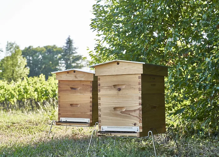 Chambre d'hôteChâteau Bonalgue - Pomerol