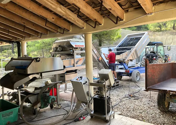 Château Catherine de Montgolfier B&B et Gites Narbonne