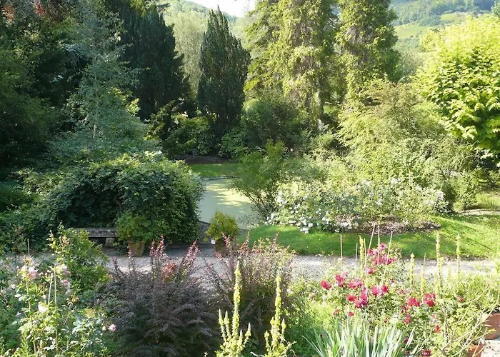 Chambre d'hôteLa Pluie De Roses