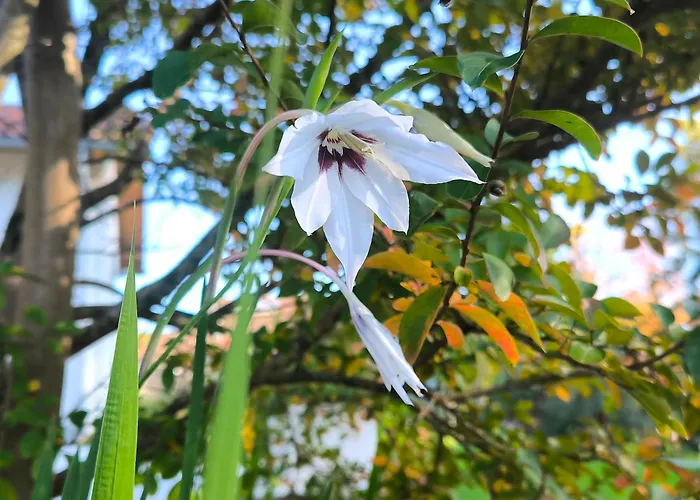 Les Treilles de Salies - Spa et sauna intérieur