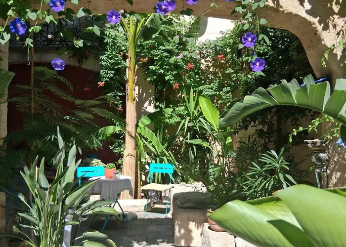 Chambre d'hôte Maison Magda Beaucaire 