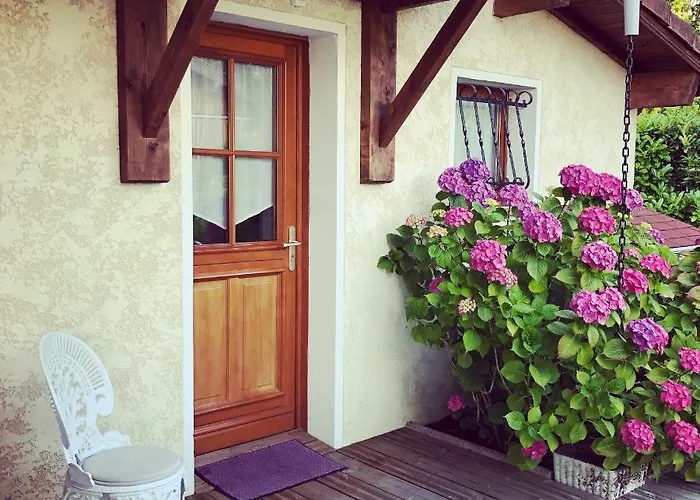 Les Arums De Sanguinet