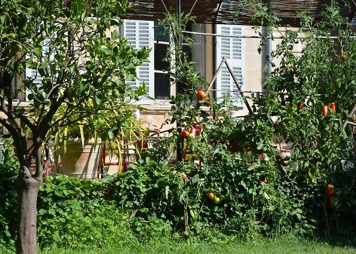 Les Passiflores Grasse