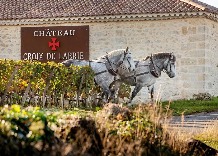 Chateau Croix De Labrie Saint-Émilion