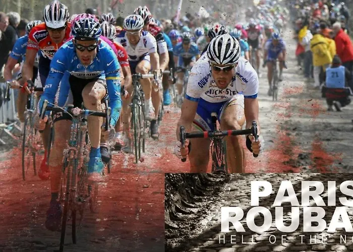 Bambou&Olivier Chambres d'Hôtes Roubaix